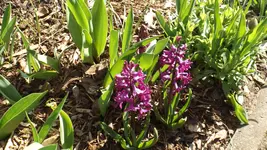 DSCF1359.webp