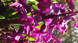 DSCF1361.webp