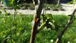 DSCF1333.webp