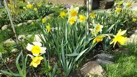DSCF1344.webp