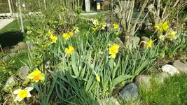 DSCF1345.webp
