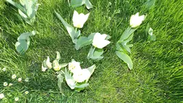 DSCF1346.webp