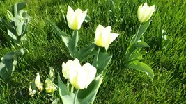 DSCF1347.webp