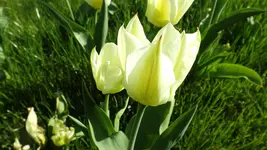 DSCF1348.webp