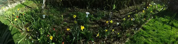 DSCF1353.webp