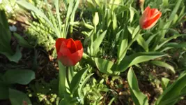 DSCF1355.webp