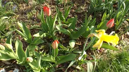 DSCF1356.webp