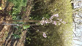 DSCF1357.webp
