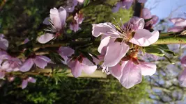 DSCF1376.webp