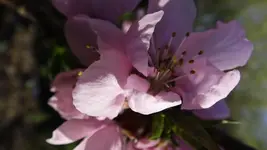 DSCF1377.webp