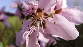 DSCF1379.webp