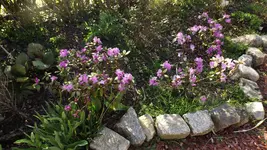 DSCF1384.webp
