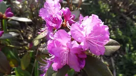 DSCF1385.webp
