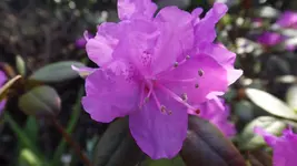 DSCF1386.webp