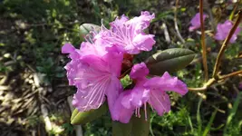 DSCF1387.webp