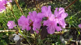 DSCF1388.webp