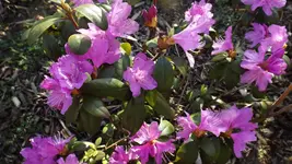 DSCF1389.webp