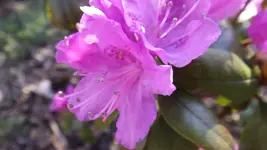 DSCF1390.webp