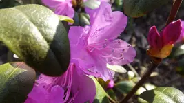 DSCF1391.webp