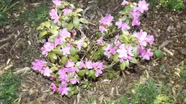DSCF1392.webp