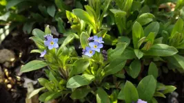 DSCF1395.webp