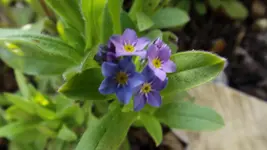 DSCF1396.webp