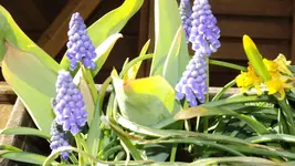 DSCF1408.webp