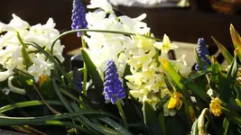 DSCF1409.webp