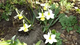 DSCF1410.webp