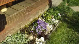 DSCF1402.webp