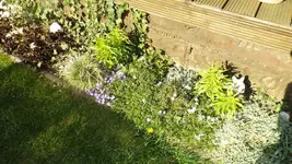 DSCF1403.webp
