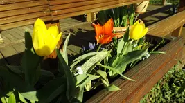 DSCF1399.webp