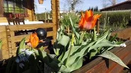 DSCF1400.webp
