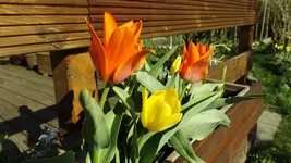 DSCF1401.webp