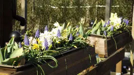 DSCF1406.webp