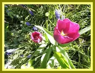 011.webp
