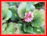 015.webp