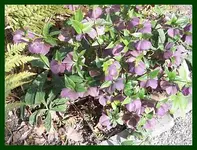 083.webp