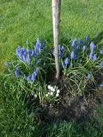 DSCN0114.webp