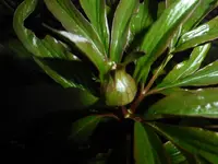 P1320148.webp