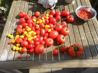 DSCN1968.webp