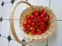 DSCN1969.webp