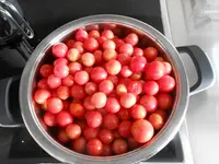 DSCN0808.webp