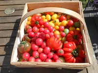 DSCN0806.webp