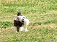IMG_0879v.webp