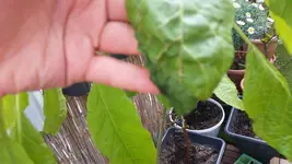 20150415_150523.webp