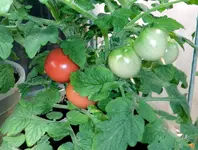 DSCN5085.2.webp