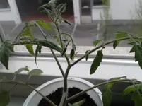 20150417_151330.webp