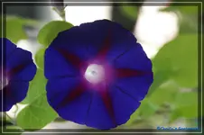 comp_DSC03164.webp
