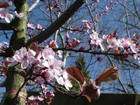 IMGP7289.webp